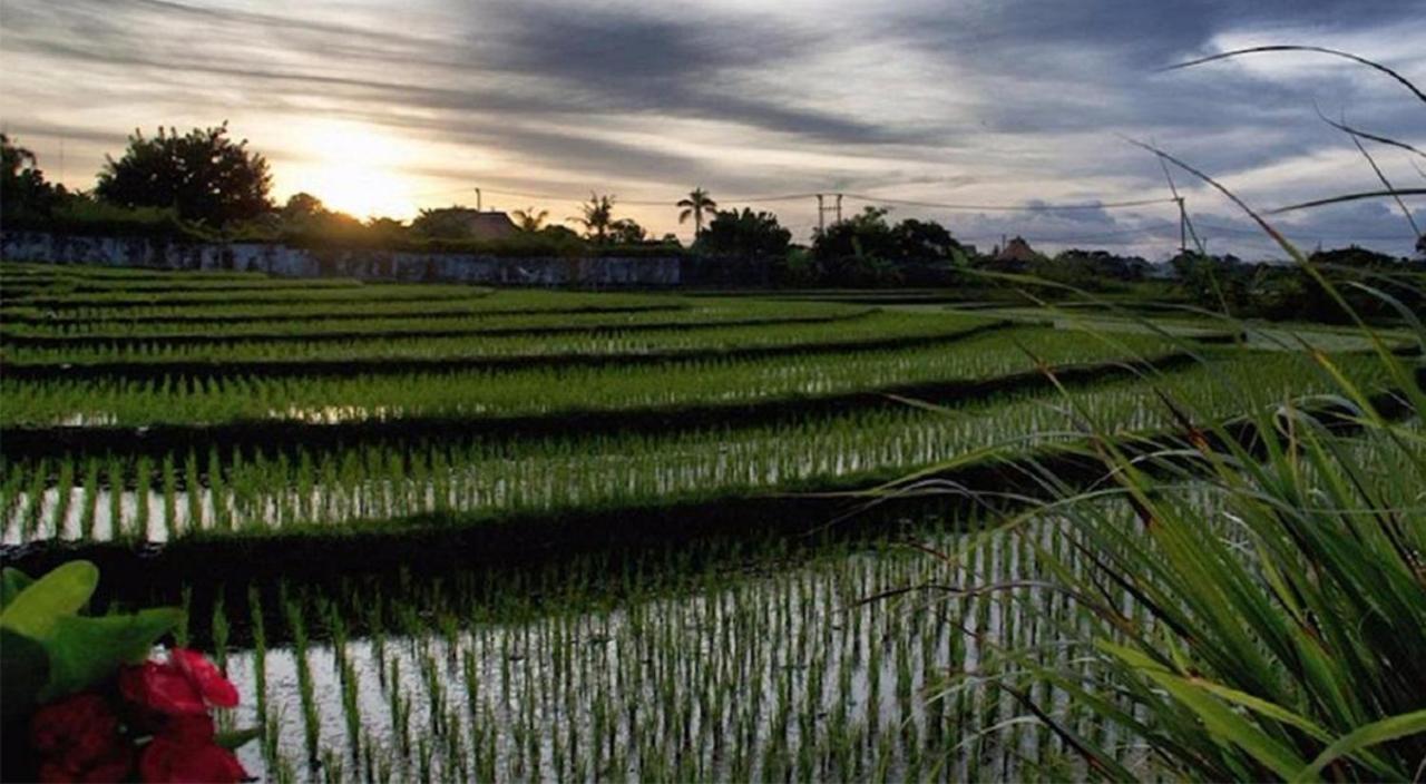 Ngeluwungan Boutique Hostel Canggu Esterno foto